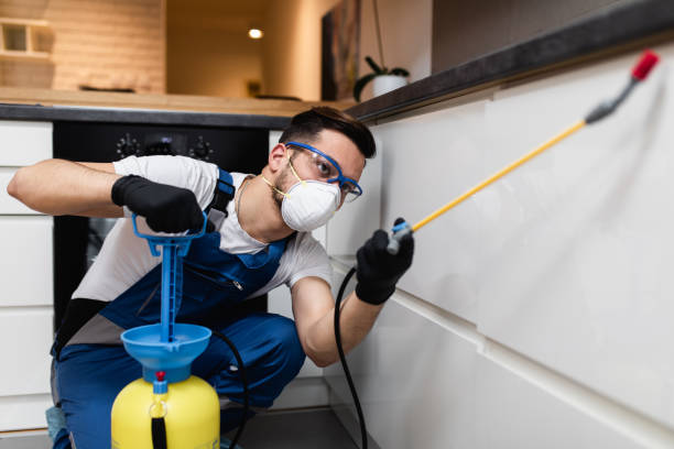 Best Best Pest Control Companies  in Winfield, TN