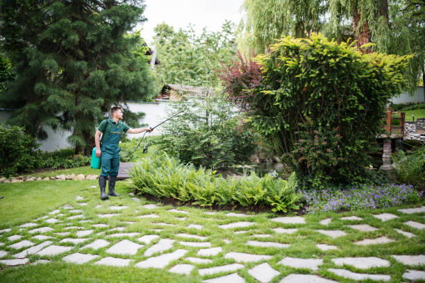 Best Local Pest Control Services  in Winfield, TN