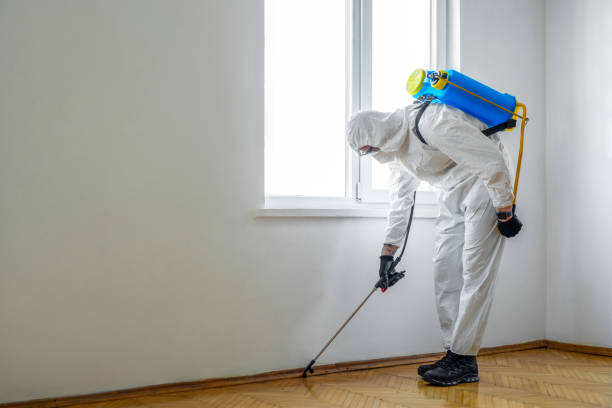 Best Flea Control Services  in Winfield, TN