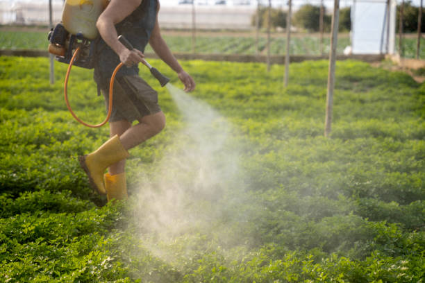 Best Residential Pest Control  in Winfield, TN