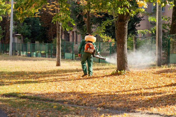 Pest Prevention Services in Winfield, TN