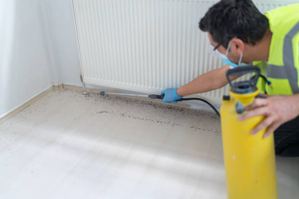 Best Exterminator Services  in Winfield, TN