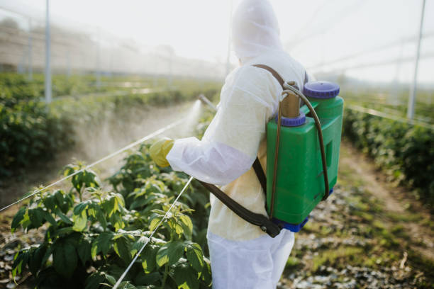 Trusted Winfield, TN Pest Control Experts